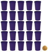 Metallic Gold Plastic Party Cups, Pack of 25, Blank 16 oz Stadium Cups