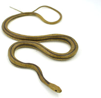 MameJo Lifelike Rubber Replica Yellow Rat Snake 48" Action Figure