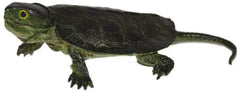 Phil Seltzer Baby Snapping Turtle, 7"